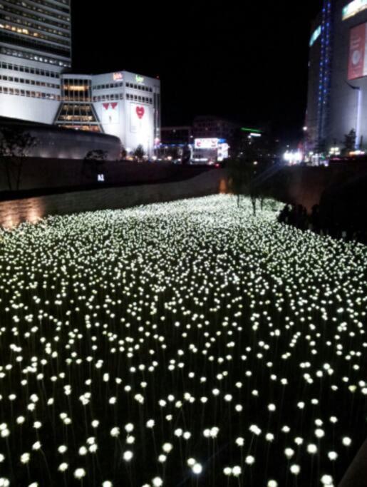 Dongdaemun W House - R414 Apartment Seoul